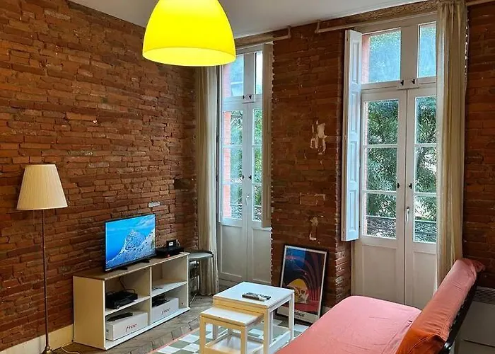 Le Rose Gambetta Hypercentre Toulouse