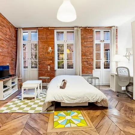 Le Rose Gambetta Hypercentre 툴루즈