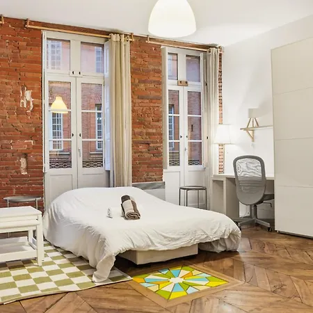 Appartement Le Rose Gambetta Hypercentre Toulouse
