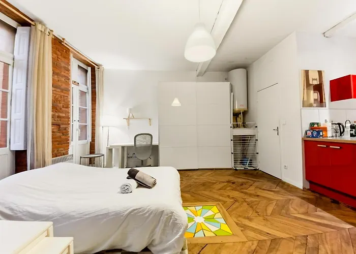 Le Rose Gambetta Hypercentre Appartement Toulouse